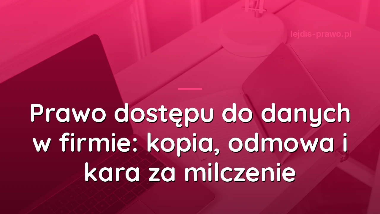 Prawo dostępu do danych w firmie: kopia, odmowa i kara za milczenie